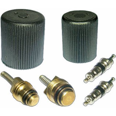 2006-2010 Grand Cherokee Cap and Valve Kit