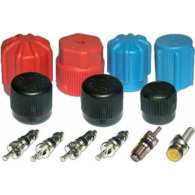 1984-1990 Wagoneer Cap and Valve Kit